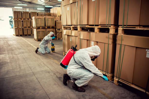 Best Wildlife Control Services  in Thatcher, AZ
