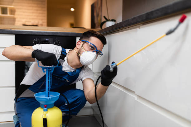 Best Best Pest Control Companies  in Thatcher, AZ