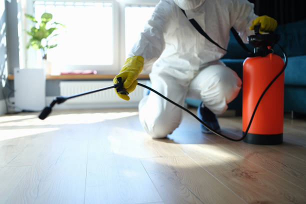 Professional Pest Control in Thatcher, AZ