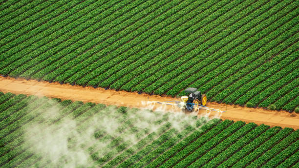 Best Pest Control Cost  in Thatcher, AZ