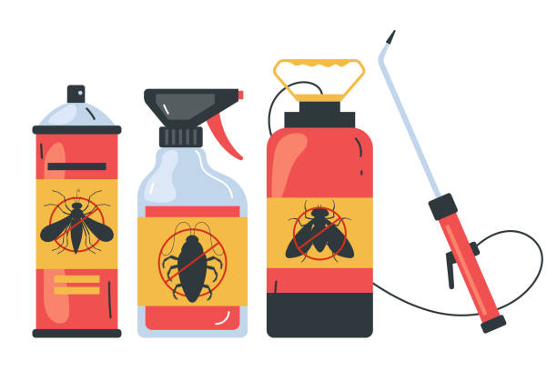 Best Pest Prevention Services  in Thatcher, AZ