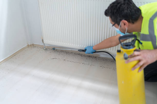 Best Bed Bug Extermination  in Thatcher, AZ